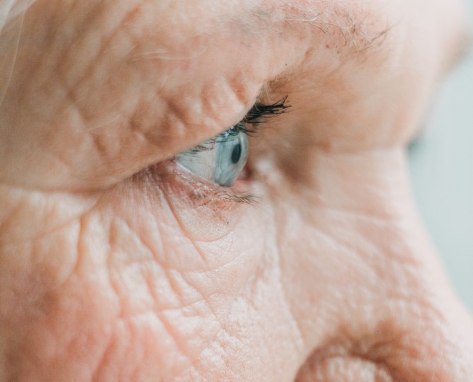 Woman's Eye Woman's Eye